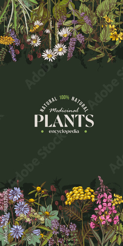 Medicinal plants and herbs banner
