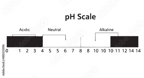 Illustrated pH scale diagram showing acidic, neutral, and alkaline ranges with a labeled bar.