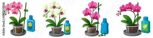 Decorative orchid plant care tools in a home setting illustrated