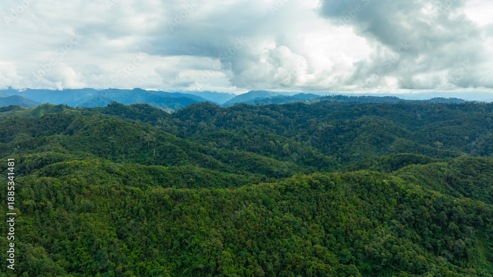 Obraz premium Breathtaking aerial view of lush green tropical mountains under a clear blue sky with white clouds, scenic nature landscape and eco-tourism adventure concept from drone.concept nature