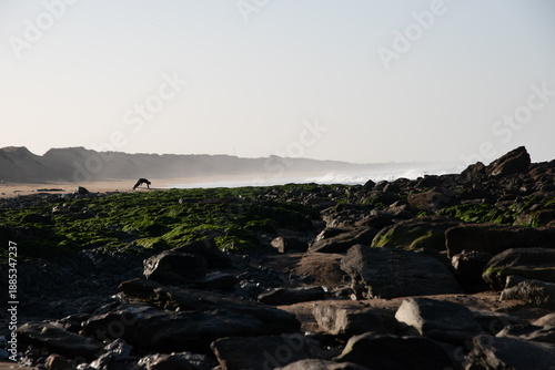 Surfeur vendéen qui effectue des étirements sur la plage face à la mer