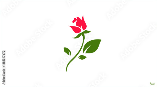 A vibrant, minimalist graphic shows a rose in full bloom, with stem and leaves, against a white background