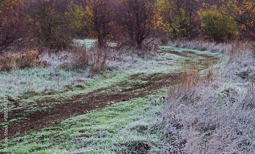 Curved path in the woods in the late fall