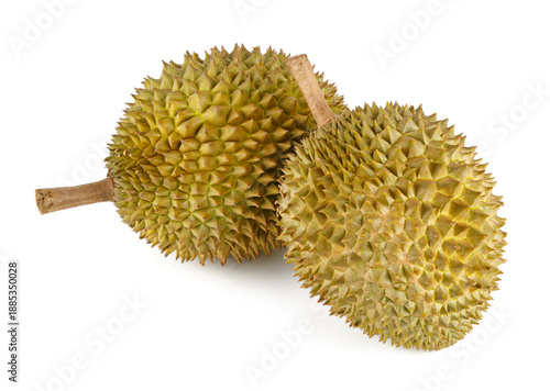 Fresh Musang King durian isolated on white background