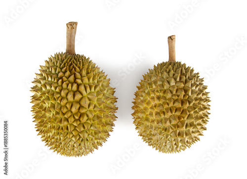Fresh Musang King durian isolated on white background