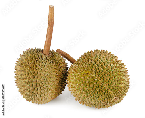 Fresh Gan Yao durian isolated on white background