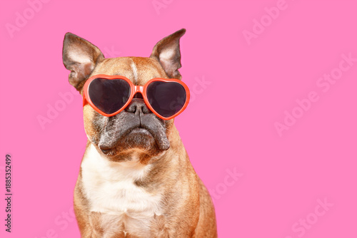 Funny French Bulldog dog wearing heart shaped Valentine's Day glasses on pink background with copy space