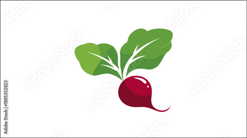 A stylized illustration features a radish with vibrant green leaves and a deep red root