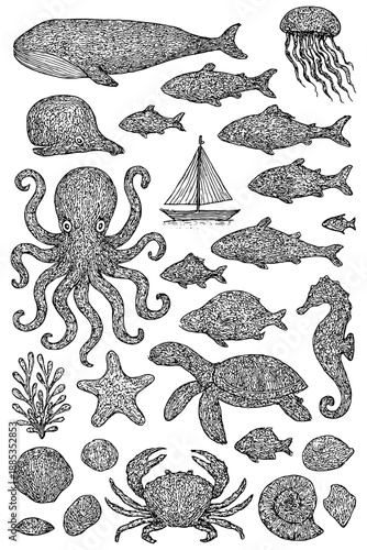 hand drawn fish,
Detailed Marine Life Blue Ink Illustrations Collection