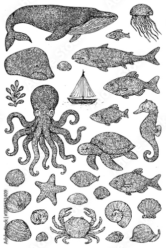 sea animals vector,
Marine Biology Illustrations in Blue Ink Collection