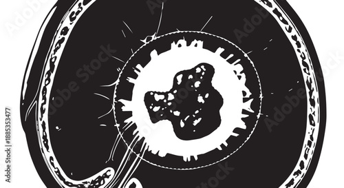 Abstract circular spiral design with bold black and white motif.