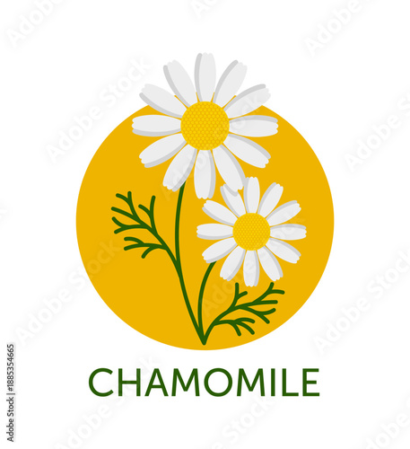 Chamomile flower ingredient emblem in flat colors