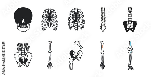 Human skeletal system isolated on black background medical illustration