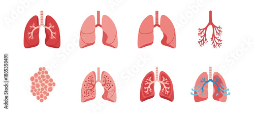 Respiratory system illustrations healthy and diseased lungs anatomy
