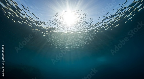 Sunlight shining through water creates a captivating underwater light refraction effect high quality
