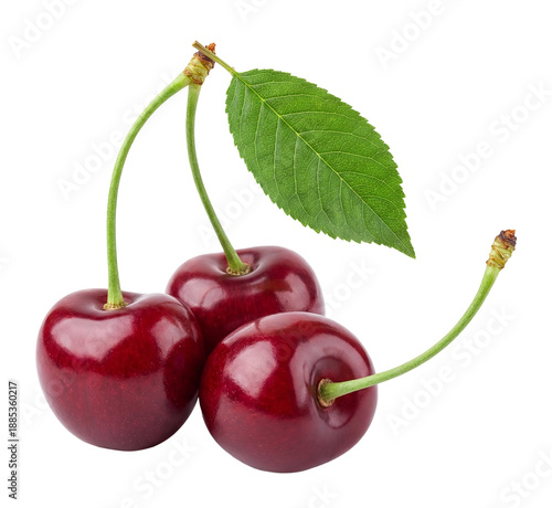 Принти на полотні realistic photograph of three ripe red cherries with green stems and a single leaf against a transparent background, showcasing their fresh and juicy appearance