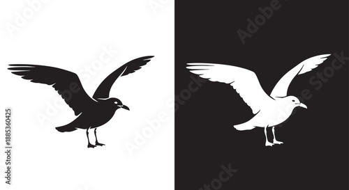 Two graphic vector illustrations of a seagull, one black on white and the other white on black, showcasing a bird in flight.