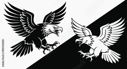Two stylized eagles, one black and one white, facing each other on a diagonally split black and white background, symbolizing contrast or duality.