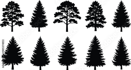 Set of Diverse Tree Silhouettes