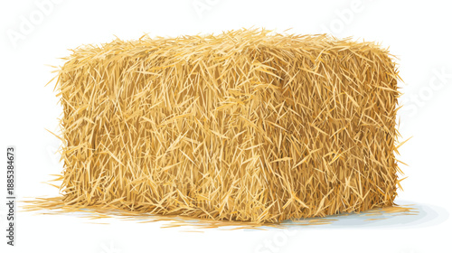 A rectangular bale of dried hay rests against a white backdrop. Shows detailed texture and shades