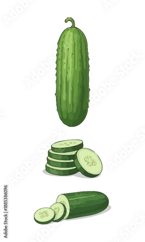 Cucumber vector, cucumber vegetable silhouette illustration, collection vector of cucumber, cucumber isolated on white