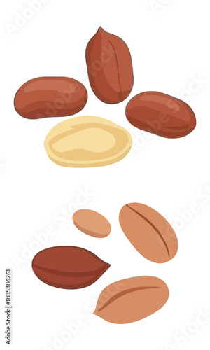 Peanut vector, pea nut silhouette illustration, collection vector of peanut, peanut isolated on white