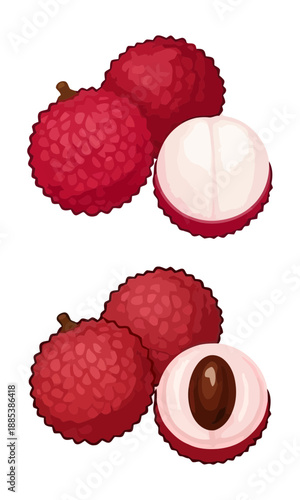 Lychee vector, lychee silhouette illustration, collection vector of lychee, lychee isolated on white