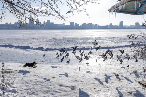 Tableau sur toile Large city across a wide frozen river with snow in the foreground