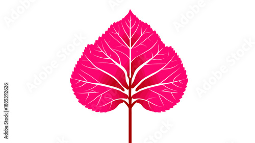 A vibrant, pink leaf illustration with delicate white veins, set against a pristine white background