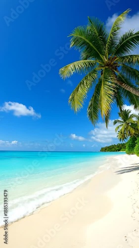 Tropical paradise with palm trees, white sand, and turquoise ocean