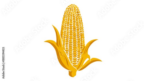 Illustration of golden corn on the cob with husks and kernels. Simple vector design on white