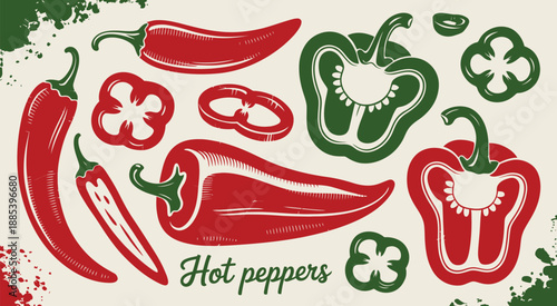 Hand Drawn Hot Chili Peppers Vector Set with Red and Green Whole, Sliced, and Cut Peppers in Top and Side View, Farm Market Natural Eco Product Illustration