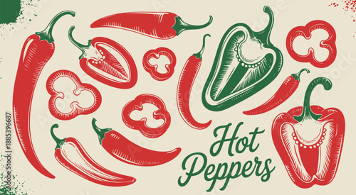 Hand Drawn Hot Chili Peppers Vector Set with Red and Green Whole, Sliced, and Cut Peppers in Top and Side View, Farm Market Natural Eco Product Illustration