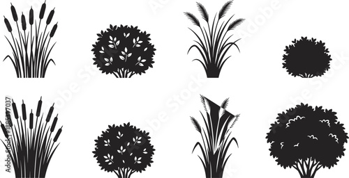 Garden plants and bushes silhouette vector illustration, reeds, shrubs and decorative grass elements collection, landscape nature icons isolated on white background