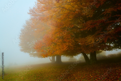 Autunno ai Prati di tivo
