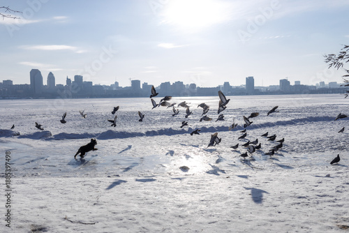Photos Large city across a wide frozen river with snow in the foreground