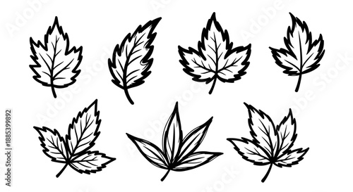 Collection of seven black outline cannabis leaf sketches with detailed serrated edges