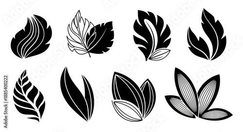 Collection of eight stylized black and white leaf illustrations with varied shapes and details