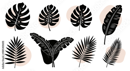 Collection of stylized black and white tropical leaves with beige abstract backgrounds