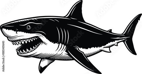 Great white shark line art vector illustration, fierce marine predator with open mouth, detailed black and white ocean animal design for logo, tattoo, and print use