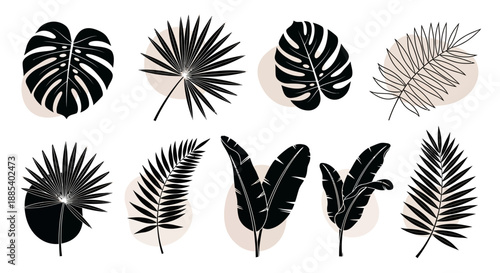 Collection of black and beige stylized tropical leaves with abstract shapes