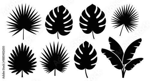 Collection of black tropical leaves with varied shapes, sizes, and intricate patterns