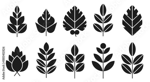 Collection of black silhouette leaf icons with various shapes and vein patterns