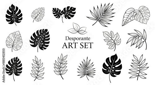 Collection of black and white tropical and fern leaf illustrations for decorative art