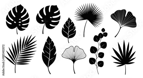 Collection of black silhouettes of various tropical and ornamental leaves arranged artfully