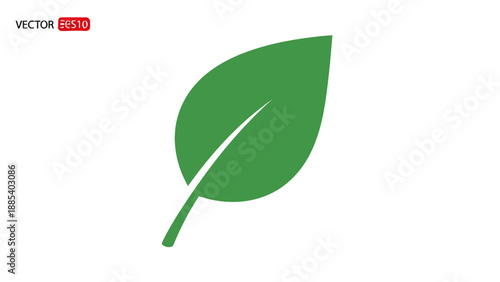 Green stylized single leaf icon with white central vein on white background