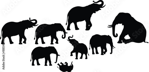 Elephant silhouettes collection showing adult and baby elephants in various poses, wildlife animal vector illustration set isolated on white background