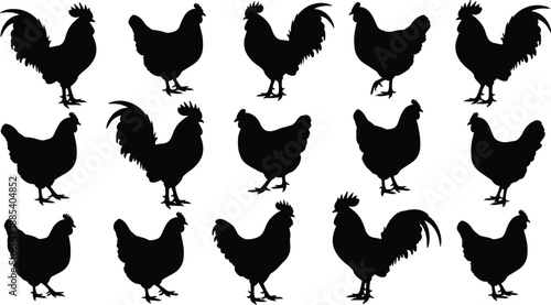 Chicken and rooster silhouettes set featuring farm poultry standing poses, black hen and cock vector illustration collection isolated on white background