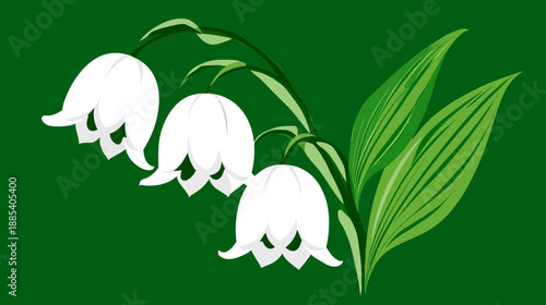 A stylized illustration features three white bell-shaped flowers on a green stem with green leaves
