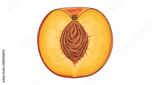 Illustration of a peach cut in half revealing a central brown pit